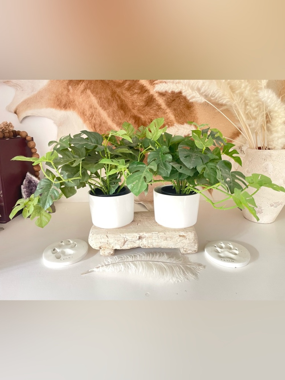 SET OF 2 Faux Mini Monstera Plants with Matching White Ceramic Pots